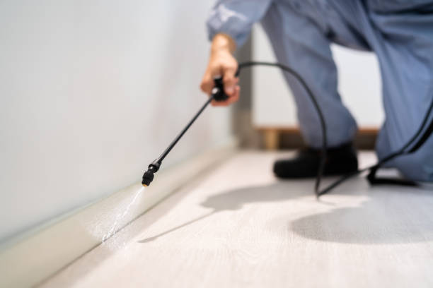 Licensed Wasp Control service in Eatonton, GA - Nex Pest Control