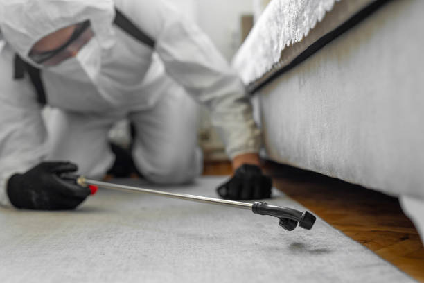 Professional Wasp Control technician working in Eatonton, GA