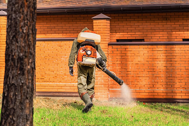 Trusted Ant Control service in Eatonton, GA - Nex Pest Control